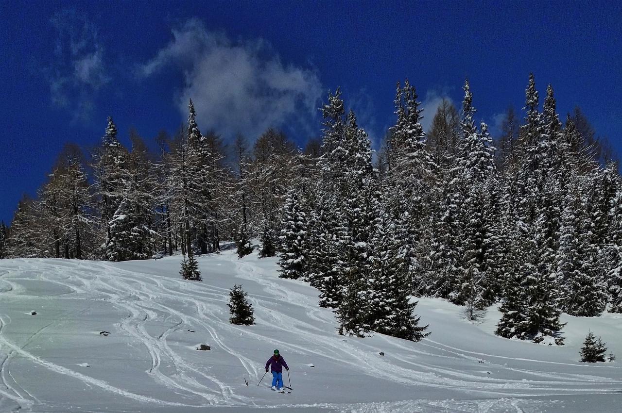 Gasthaus Chalet Mur Sankt Michael im Lungau Eksteriør bilde